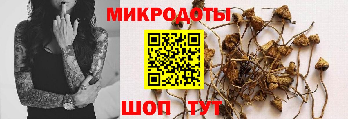 Псилоцибиновые грибы Magic Shrooms  Вход с VPN  Галлюциногенные грибы Psilocybine cubensis  Комсомольск-на-Амуре 